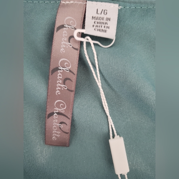 Charlie Charlie Charlotte sage green midi dress - Picture 5 of 8